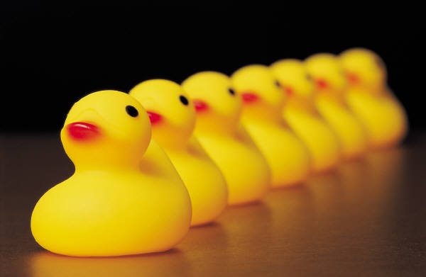 Ducks in a row